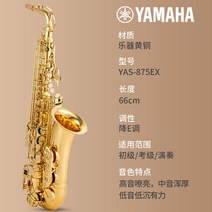 야마하 알토 색소폰 E조 YAS-875EX 시니어 초보자용 입문 연주, 단품, 단품