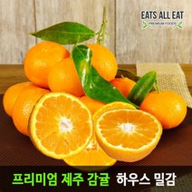 이츠올릿 제주 꼬마 감귤 2kg 제주도 하우스 고당도 귤 타이백 밀감