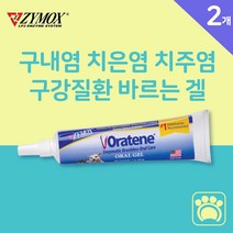 강아지 고양이 구내염 치주염 치은염 잇몸염증 바르는 젤, 2개