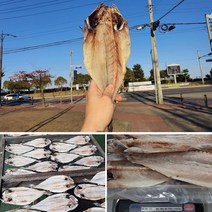 국내산 반건조 민어 1kg 5미 내외-민어 구이 민어찜 민어탕 반찬