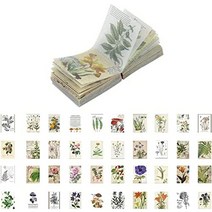 북 아트 책 꾸미기 재료 400매 콜라주 노트 릭톤 디자인 종이 콜라주 소재 정크 저널 반투명 양피지 빈티지 시리즈 빈티지 레트로 종이 소재 저널 콜라주 소재 팩 일본 직배송, 다윈 핸드북