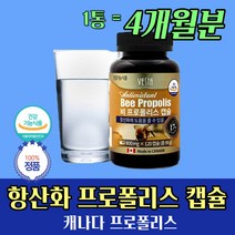 식약청 인증 환절기 건강 관리 프로폴리스 필수 식품 항산화 4개월분 캐나다 캡슐 알약