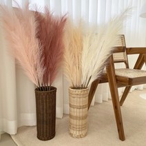 베듀 핑크뮬리조화 팜파스조화 10color 대형 인조갈대 봄 촬영 소품 인테리어 장식, 코랄