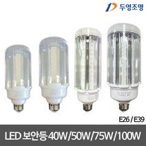 두영 LED투명보안등 40W/50W/75W/100W LED보안등 4종, 100W, E39