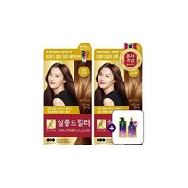 LG 생활건강 엘라스틴 살롱드컬러 염색약 밝은갈색 100g x 2개 + 증정