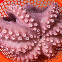 모리타니아산 자숙문어 돌문어 1.5kg