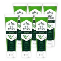 네이처프레쉬 자연을 품은 향기 파슬리 치약, 6개