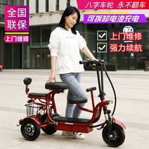 삼륜자전거 성인용3발자전거 어르신 전동 성인용 노인자전거 3륜자전거 전기 작은 미니 가정용 레이디 부모 접이식 더블 3 인승 배터리, 배터리 충전기가 없는 2인승 모델 맨몸 차량추가, 48V