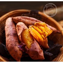 햇 고구마 해남 세척 꿀 밤 호박 고구마 겨울간식 [특상품] 3kg 5kg 10kg