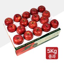 명품농원 당도선별 문경사과 5kg 꿀부사 선물세트, 1박스, 03. 명품농원 중과 5kg(17~19과)-선물용