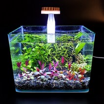 수초가득어항세트 소(22x15x17cm)수초포함, 수초가득어항세트 소(22x15x17cm)