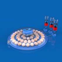 청계알 오골계알 온도조절기 계란 오리알 병아리 부화기 부하기 자동 52 부화장 기계 220/110 농장 온도 습도 제어 장치 신 닭 오리 메추라기 조류 브루더, UK Plug, 52 Eggs