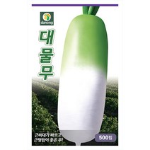 눈개승마 1g - 씨 씨앗 눈개승마씨 눈개승마씨앗 나물 나물씨앗 채소씨 채소씨앗 능개승마, 10_다농_대물무(500립)