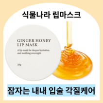식물나라 진저허니 립마스크 20g 나이트 립케어 고보습 꿀추출물 립밤 입술각질 입술팩 립각질제거 립마스크 진저슈가 슬리핑팩 립팩 립마스크, 2개
