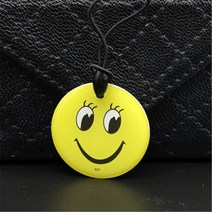 rfid복사기 rfid태그 Nfc 0 섹터 재기록 가능 13.56mhz 1k 키 체인 복제 복사기 Rfid 스마트 칩 복사 카드 배지 Uid Keyfobs 토큰 태그 단축키, [13] 1PCS