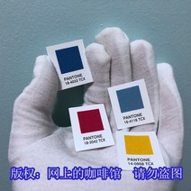 팬톤컬러칩 팬톤 PANTON 컬러북 팬톤북 팬톤칩 Spot pantone Pantone 컬러 카드 국제 표준 의류 섬유 폴리에스터 버전 tsx 컬러 카드 전단지 구매