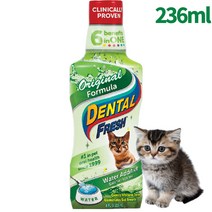 강아지 고양이 마시는치약 가글 덴탈워터 물에타는 시너지랩 덴탈후레쉬, 덴탈후레쉬 오리지널 고양이용 236ml