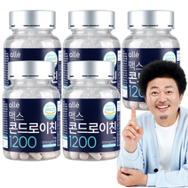 관절 알레 엔 콘드로이친 1200 윤택 600mg x 90정, 5통
