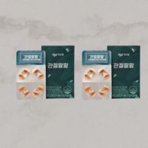 씨스팡 관절팔팔 155mg 관절팡팡 뼈 튼튼 영양제 관절약 1+1, 2개, 56캡슐