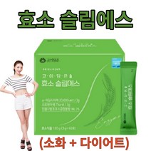 고이담은 효소 슬림에스 하루한포 아밀라아제 프로테아제 인절미발효효소, 1개, 60포