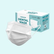 식약처 인증 국내산 해나온덴탈마스크 성인용 50매입 흰색 황사/비말차단 일회용 마스크, 1개, 화이트, 50개입