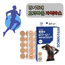 통증엔 없었던일로 프리미엄 근육통 자석패치 90매, 1박스