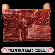 통큰 프리미엄 소한마리 특수부위 모듬구이 초이스등급 600g 800g 1kg 1.4kg 2kg 소고기 세트 가성비 200g 소분포장 프레시퍼스트, B. (살치살+부채살+갈비살) 총600g