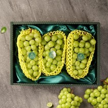 감동 9월26일 오전9시까지 주문시 명절전배송세원팜스고당도 샤인머스캣 2kg 2-3수 선물세트 -인증