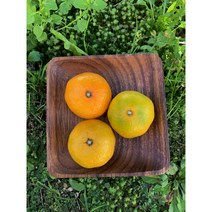 제주귤 하우스감귤 제주감귤농협 특등급 2.5KG 3KG 5KG 10KG, 5KG(2L)