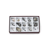 Nasco 화석표본 15종 General Fossil Collection