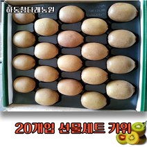 하동참다래농원 레드키위 *골드키위 선물세트 20개입(대~왕점보), 골드/중 (개당 100g) 2kg