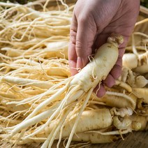 [실속형]금산 인삼 5년근 800g+덤200g 산지직송 막삼 난발삼, 1개, 막삼400g+덤100g(무세척)