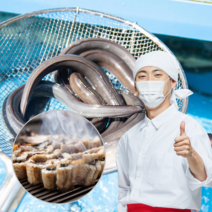 먹사부 자연산 국내산 통영 장어 바다장어 구이용 탕 덮밥 용 손질 뼈 중 대 특대 1kg 2kg 3키로 가정용 선물세트, A.바다장어[중] 1kg