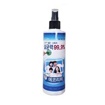 에코리치 살균 소독제, 300ml, 1개