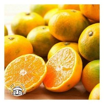 서귀포 하례마을 타이백 감귤 5kg (L-2L 50과 내외 실중량), 단품