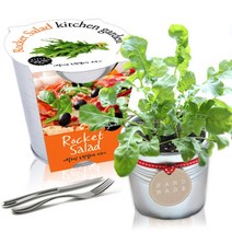 [천삼백케이] [농업회사법인 세경팜 주식회사] 세경팜 양철키친가든 루꼴라 식물키우기 텃밭가꾸기, 미니당근