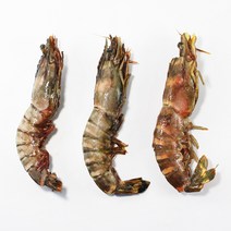 킹타이거새우 대왕새우 크기별로 1마리씩 골라담기, 월드스타 1마리 280g~345g내외