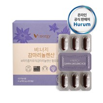 감마리놀렌산 보라지꽃종자유60캡슐, 5개, 5개