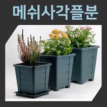 다육맘 숨쉬는 메쉬팟 사각플분