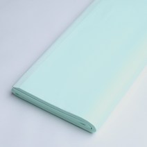 초이스앤코 습자지 색화지, 2절, 민트