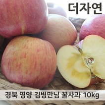 경북 영양 꿀부사 사과 최상품 10kg 25-28과, 단품