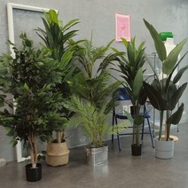 인조나무 조화나무 조화인테리어 아레카야자 극락조 드라세나 조화, 2.아레카야자 160cm, 1개