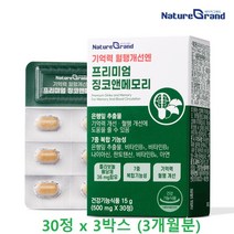 징코 은행잎 추출물 기억력개선 혈행개선 비타민b1 b2 b6 아연 나이아신 판토텐산 기능성 영양제 3개월분