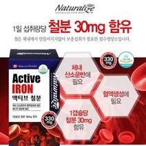 변비없는 철분제 액티브 철분 330mg 100캡슐