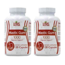 Logic Nutra 로직 누트라 매스틱 검 1000mg 120정, 2병