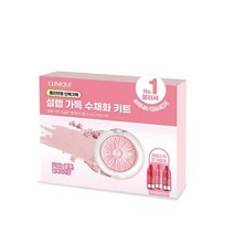 크리니크 치크팝 세트 2종 미니 처비스틱, 핑크허니 팝