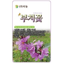 샤스타데이지 1g - 야생화 씨앗 꽃씨 씨 꽃씨앗 샤스타데이지씨앗 샤스타데이지씨 다년생 여러해살이 야생화씨앗 꽃 샤스타국화, 26_다농_부처꽃(0.8g)