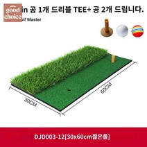 인조잔디 스윙 골프연습 매트 카펫 훈련 퍼팅, 장단초30*60cm