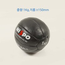 니스포 메디신볼 천연가죽, 5kg
