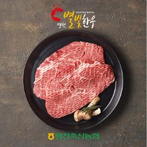 브랜드없음 [영천축협]영천별빛한우 산적500g / 1+등급, 단품없음